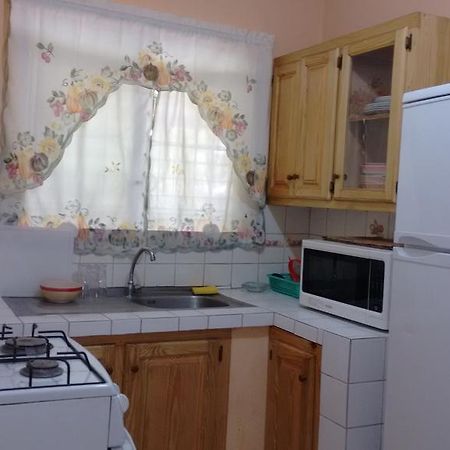Yard Style Ξενοδοχείο Κίνγκστον Εξωτερικό φωτογραφία